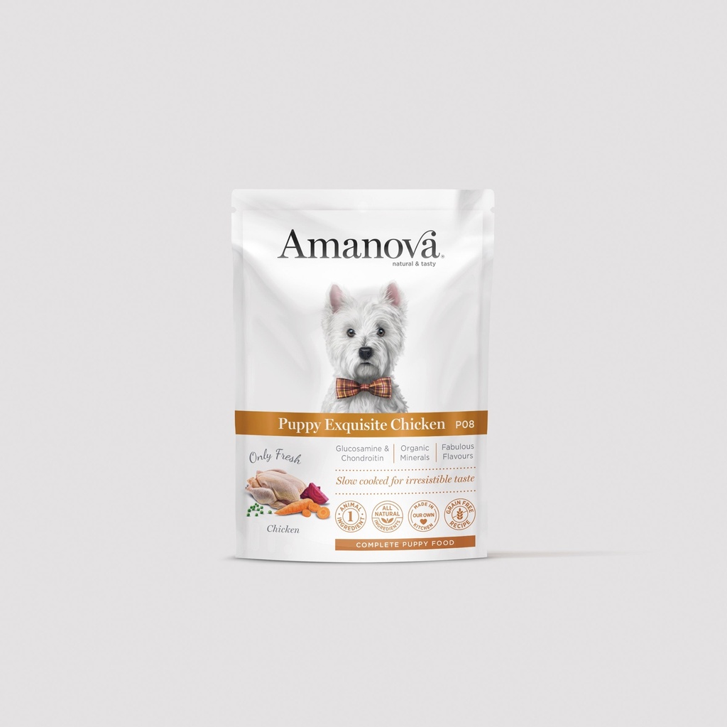 Amanova P08 Puppy