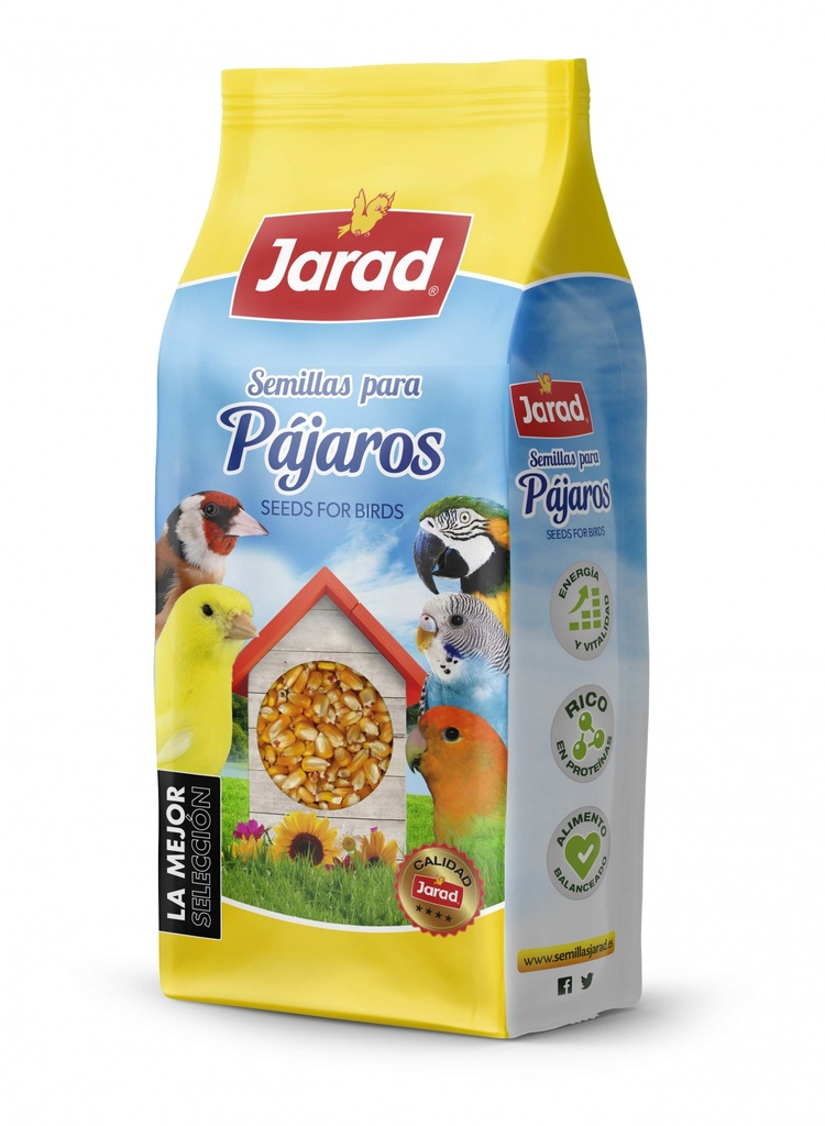 Jarad Maiz Palomero Especial Bnfic