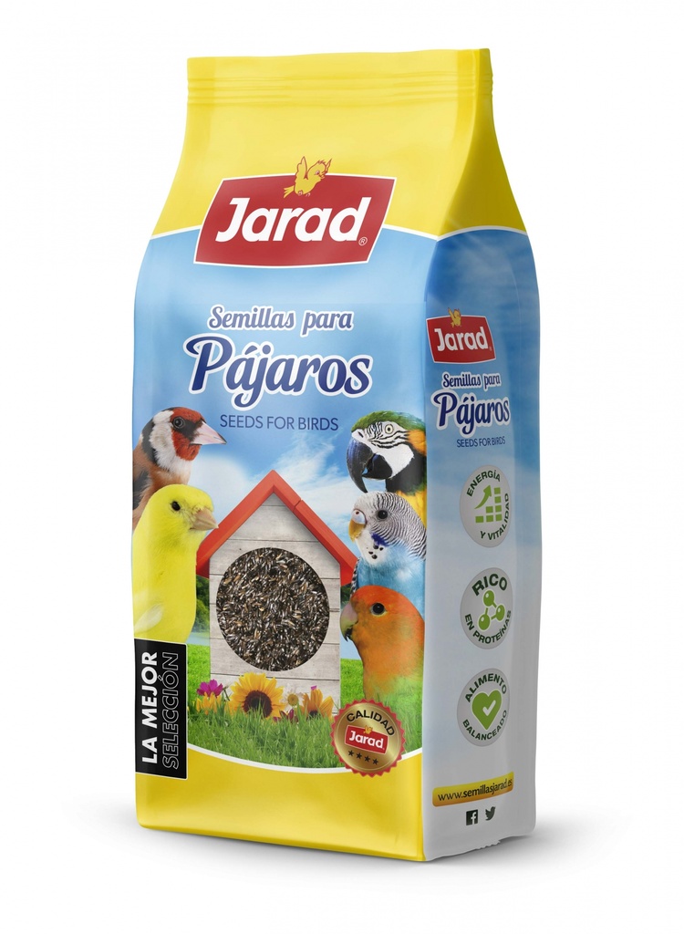 Jarad Negrillo