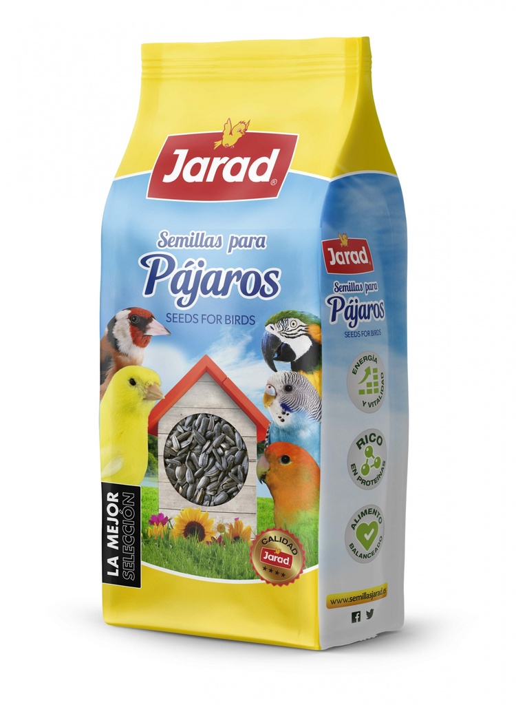 Jarad Pipa Negra