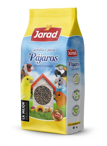 Jarad Veza