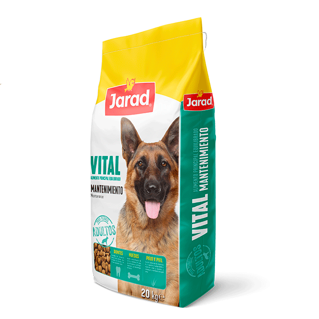 Jarad Vital Mantenimiento